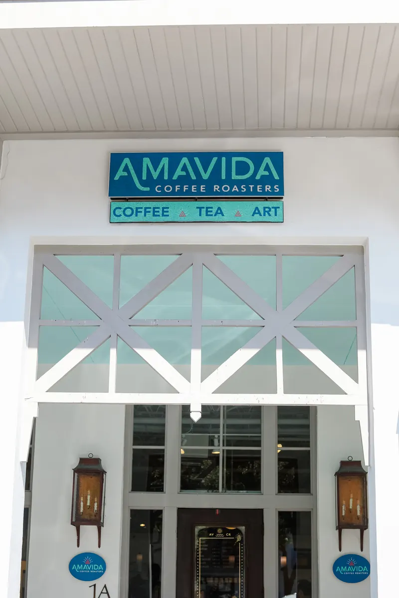 Amavida - Rosemary