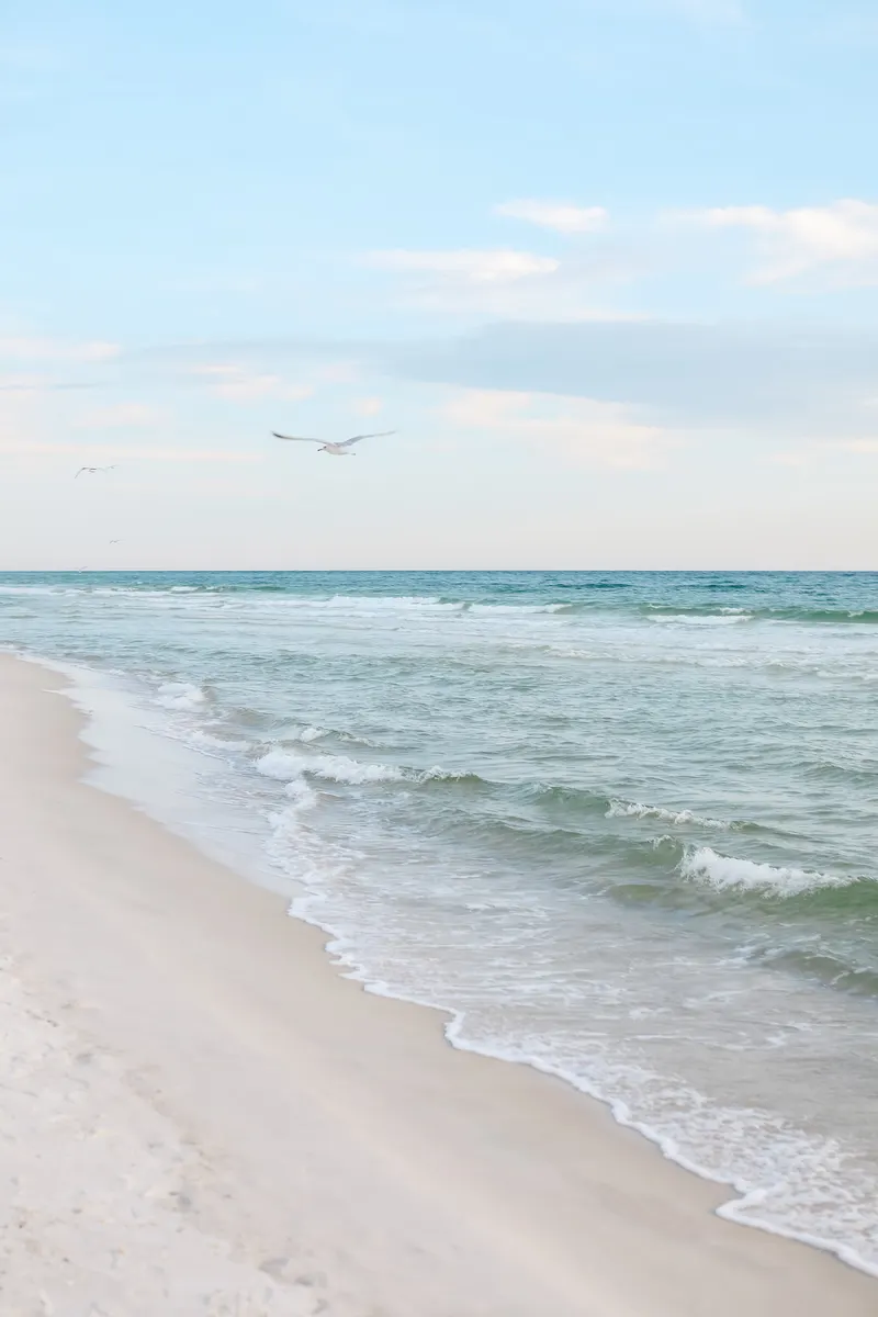 Sandestin